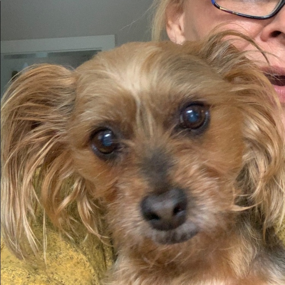 Meet your Posher, Debbie